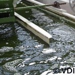 Open Pond vor Algae Production