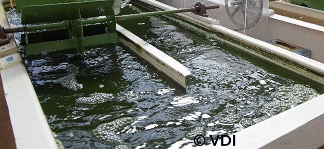 Open pond for phototrophic microalgae production (c) VDI